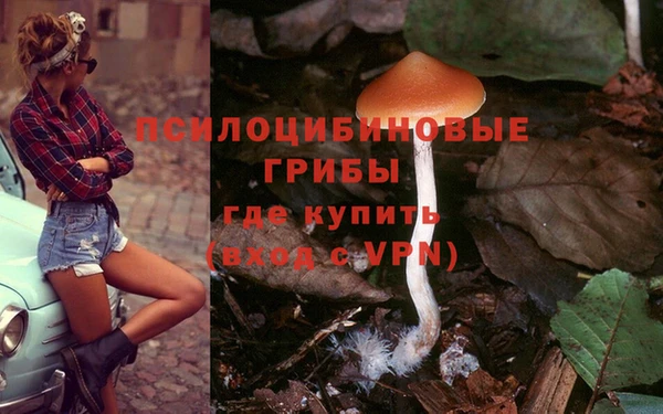 молекула духа Балахна