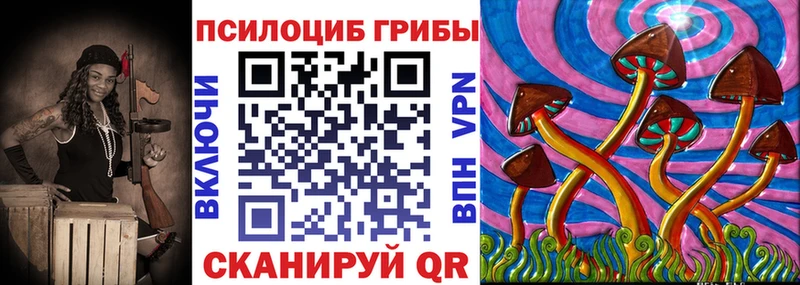 Купить закладки  Туймазы  Галлюциногенные грибы мицелий 